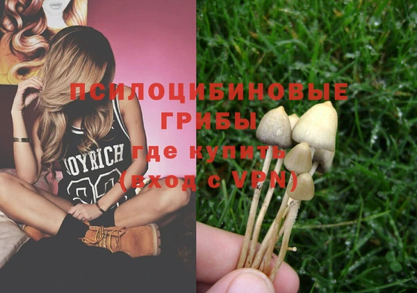 дмт Нея