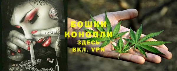 дживик Нефтекумск
